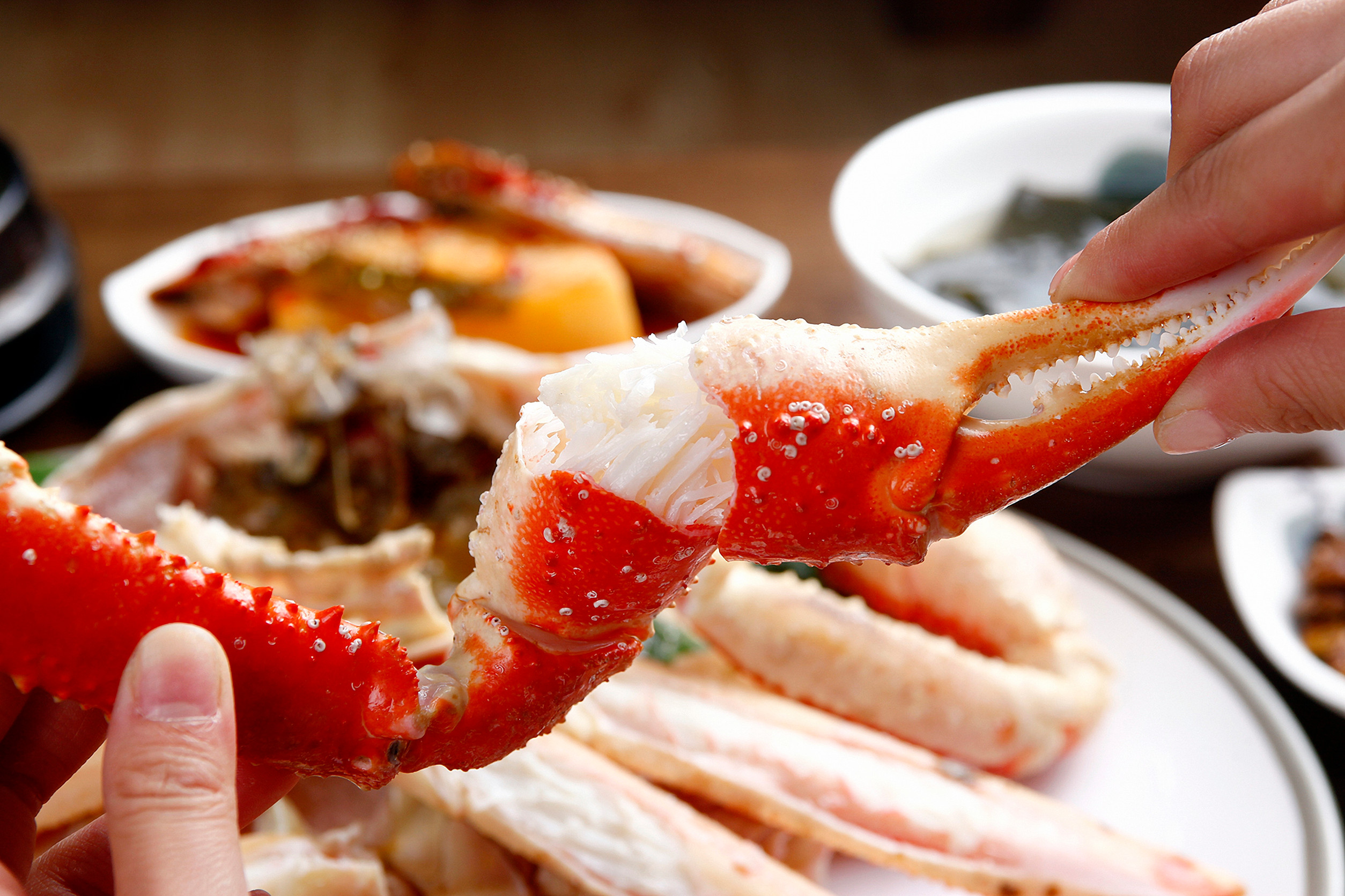 Crabe_Des_Nieges_Rimouski