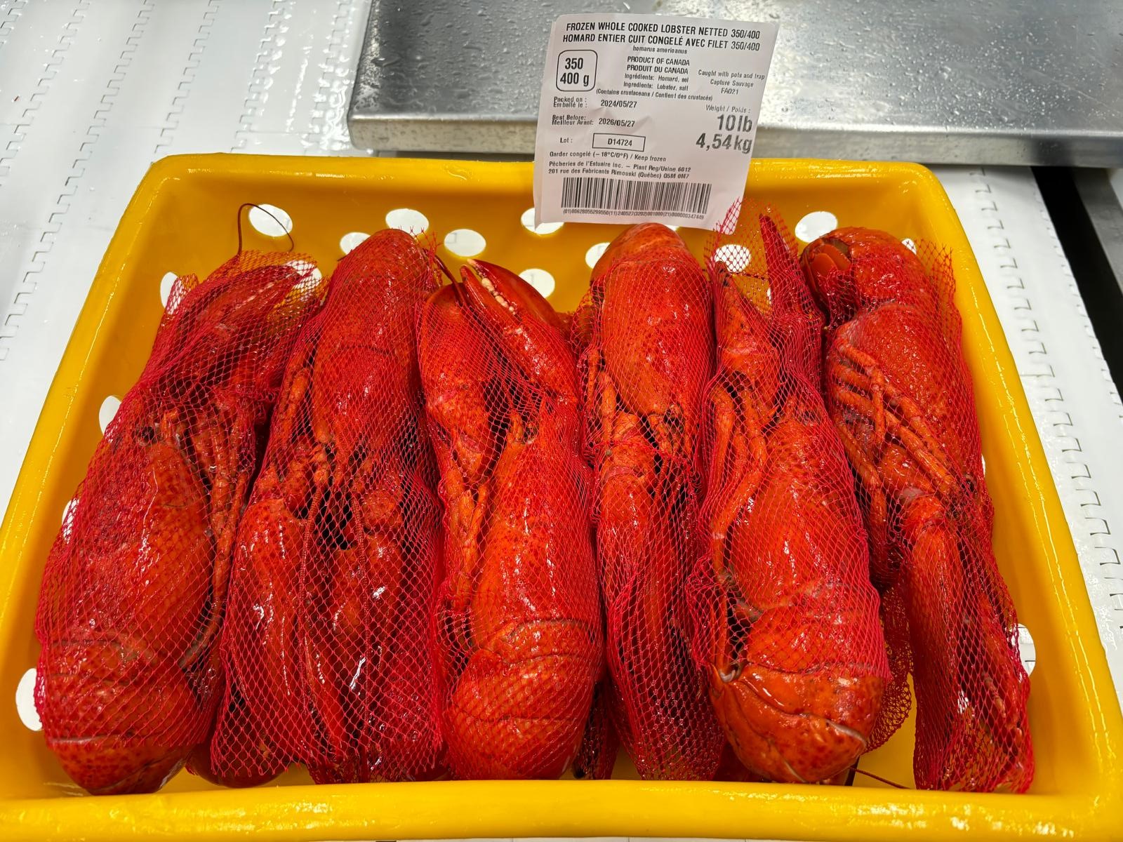 Homard_Rimouski